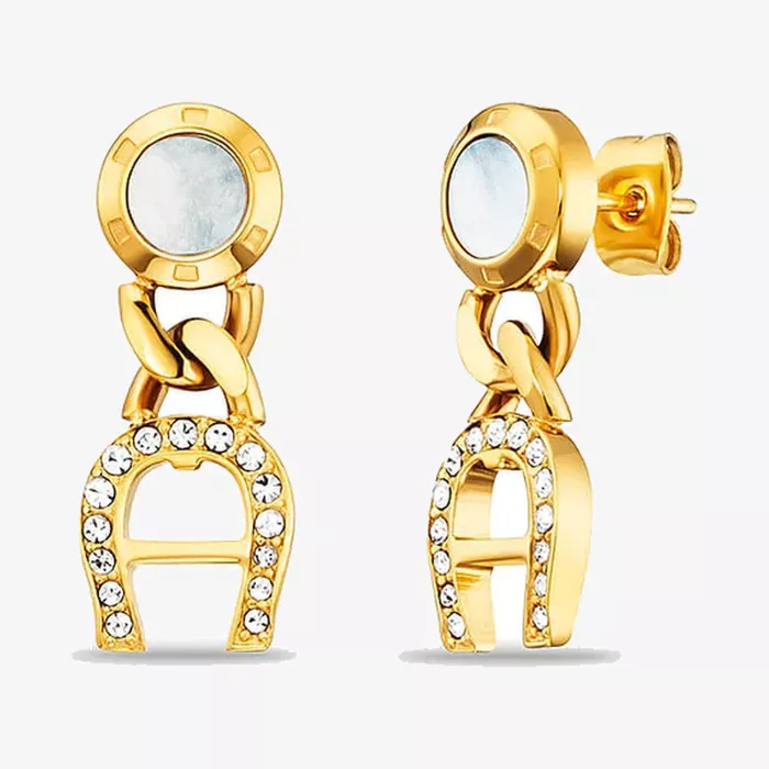 Aigner Fashion Earrings — view 1