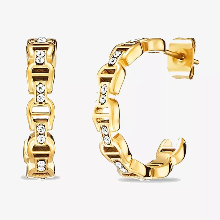 Aigner Fashion Earrings — عرض 1