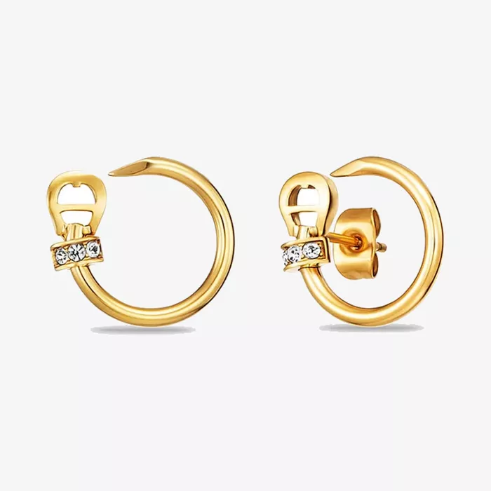 Aigner Fashion Earrings — عرض 1