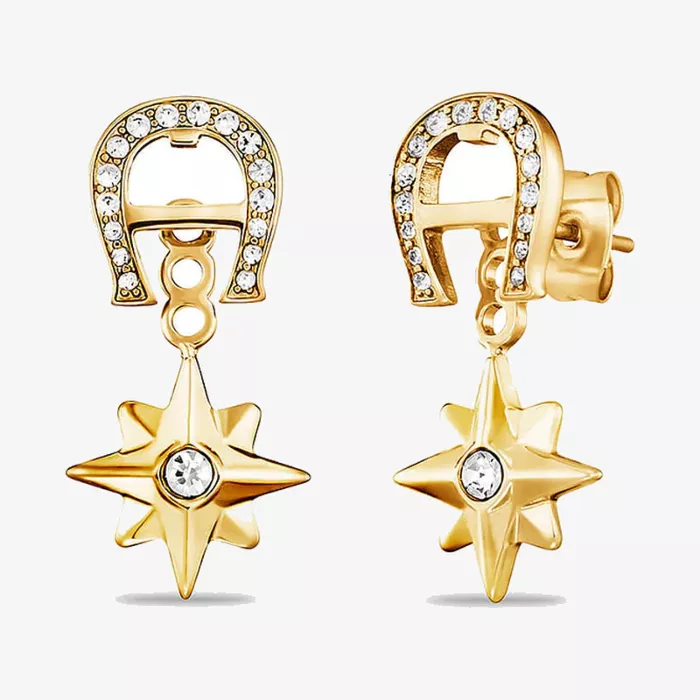 Aigner Fashion Earrings — عرض 1