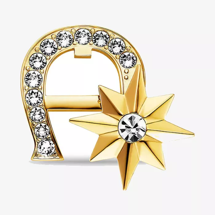 Aigner Fashion Brooch — عرض 1