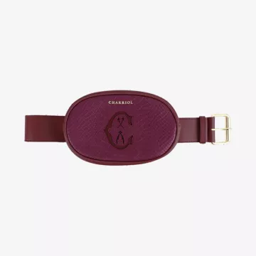 Charriol Waist Bag — view 1