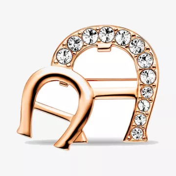 Aigner Fashion Brooch — عرض 1