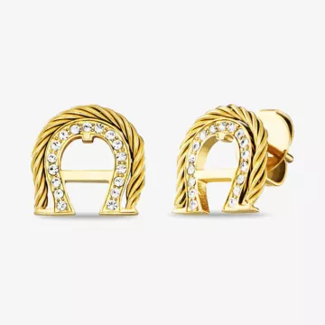 Aigner Luna Earrings