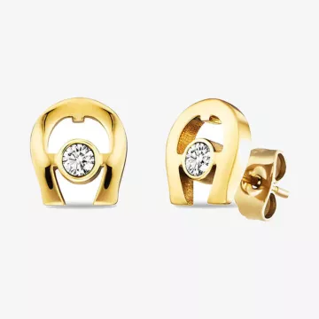 Aigner Joya Earrings
